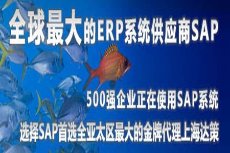 國(guó)內(nèi)ERP軟件排行 ERP管理系統(tǒng)排名 上海達(dá)策詳解